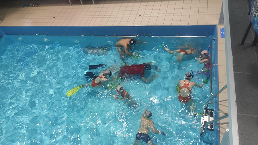 Hokej pod wodą Walenie Siemianowice Śląskie Trening 5 XI 2022. Koniec Walenia czyli Amatorska Liga Hokeja Pod Wodą